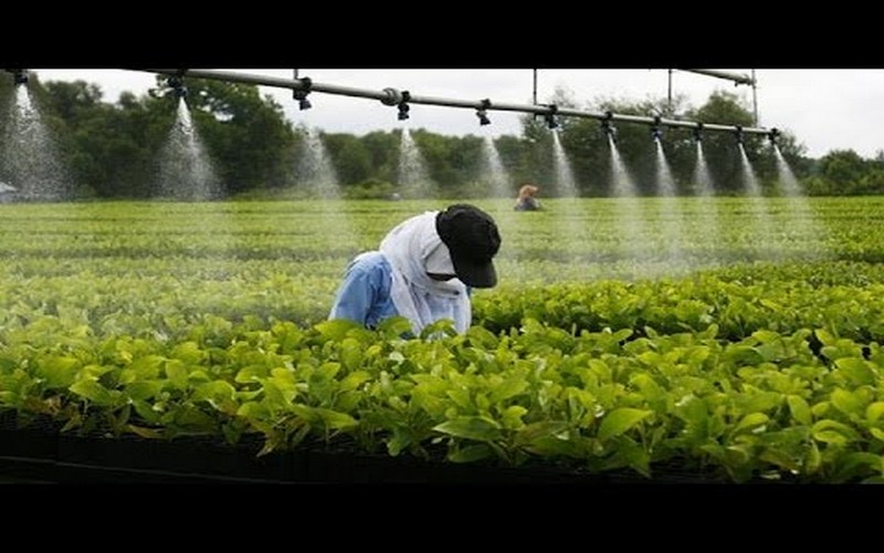 Agro-industrie : moteur de transformation et levier de développement durable